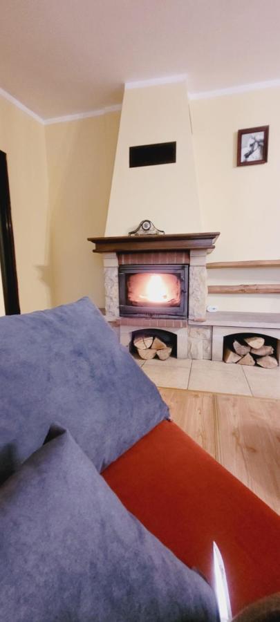 Apartament Alcatraz Z Kominkiem Kamienna Gora Luaran gambar