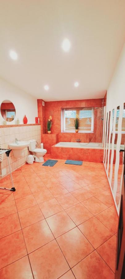 Apartament Alcatraz Z Kominkiem Kamienna Gora Luaran gambar